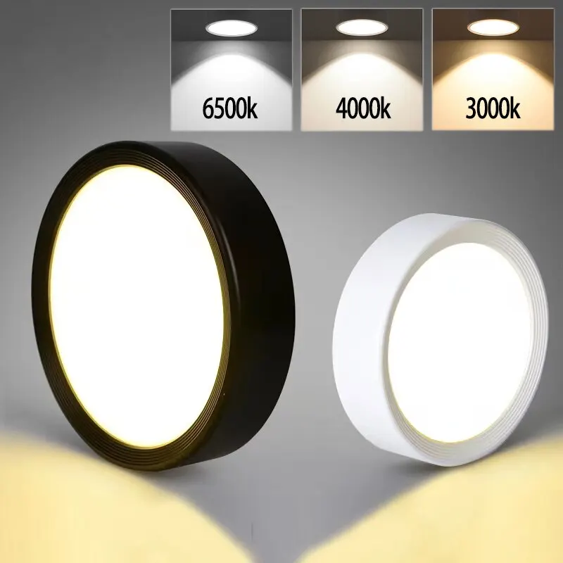 Đèn LED Ốp Trần Phong Cách Hiện Đại Downlight 10w15w Thời - DTN-342