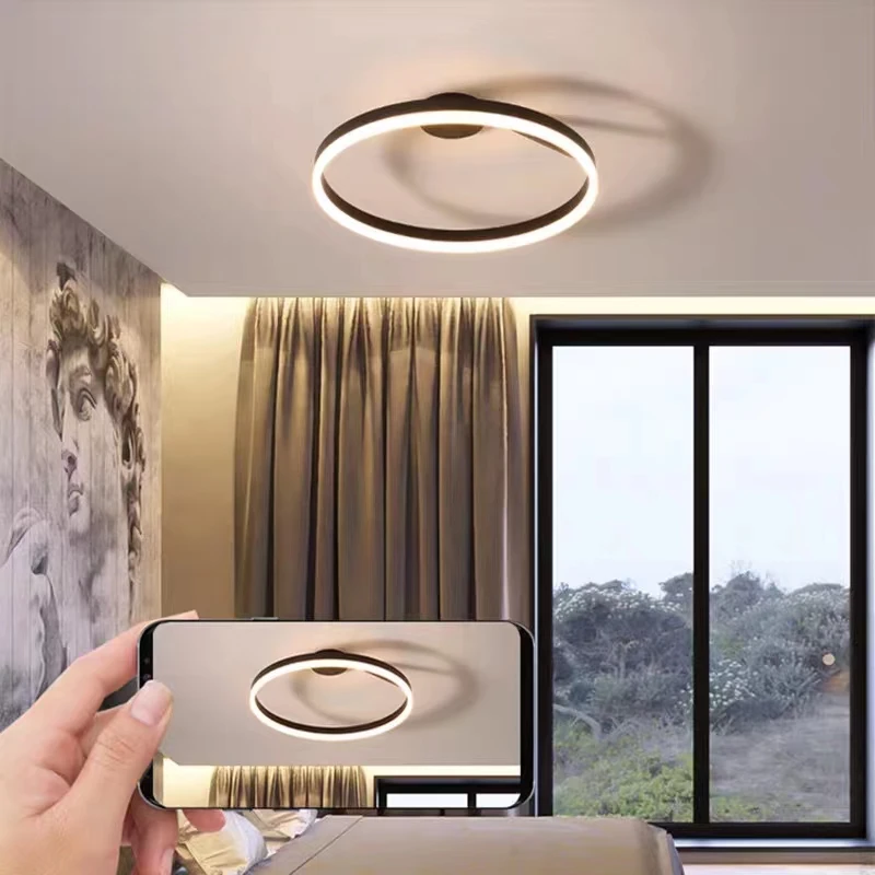 Nordic-Ring-Led-Ceiling-Chandelier-Dimmable-Restaurant-Living-Room-Bedroom-Ceiling-Light-Home-Decor-Lighting-Fixtures-3.webp