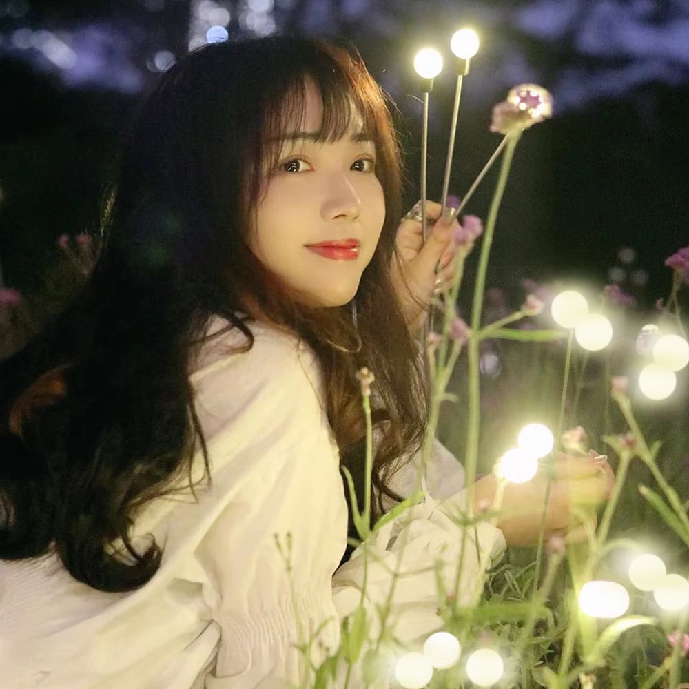 Bầu không khí trang trí LED đom đóm đất đèn sân vườn cộng đồng cảnh q - DNT-1624