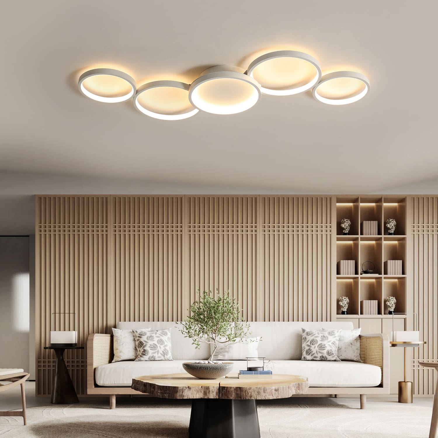 2023 Mới Đèn Ốp Trần LED Đơn Giản Hiện Đại Đèn Phòng Cá - DTN-744