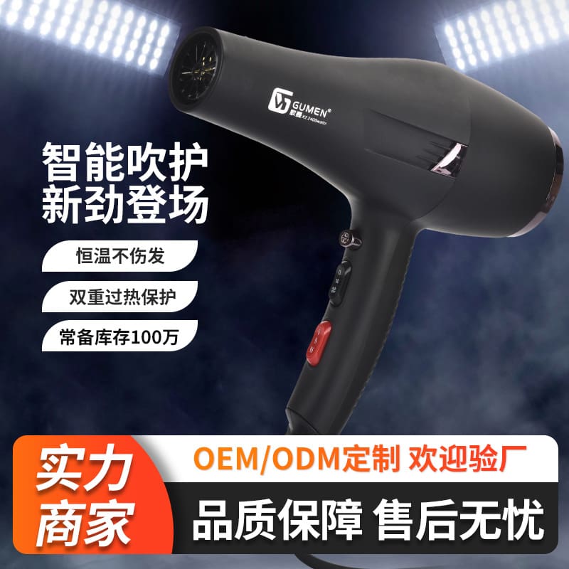 Máy sấy tóc bán buôn xuyên biên giới ion âm chất lượng cho khách sạn MST-607