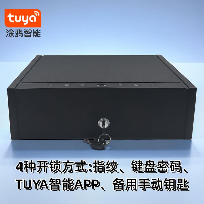 Mới tuya thông minh an toàn nhỏ mật khẩu hộp chất lượng cho khách sạn KS-161
