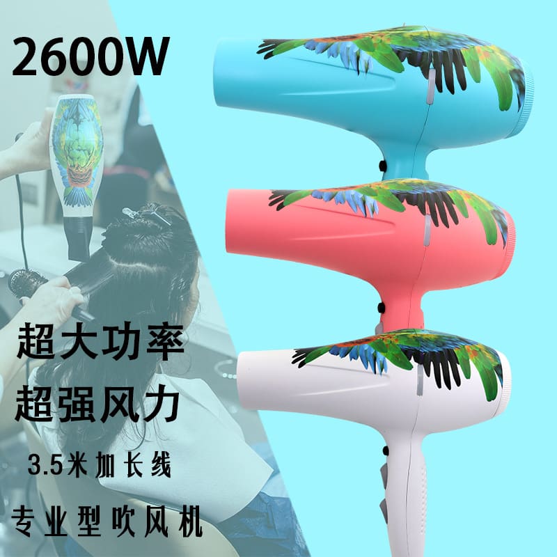 Tiệm cắt tóc salon tóc đặc biệt máy sấy tóc chất lượng cho khách sạn MST-19