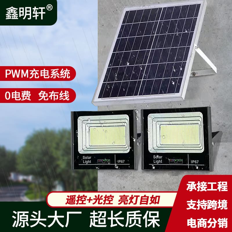 Đèn năng lượng mặt trời chiếu sáng sân vườn siêu sáng, tiết kiệm điện - DNT-2176
