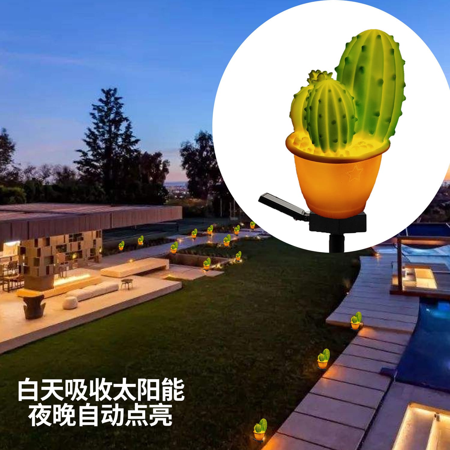 Năng lượng mặt trời xuyên biên giới sân ngoài trời dứa biệt thự sân v - DNT-2272