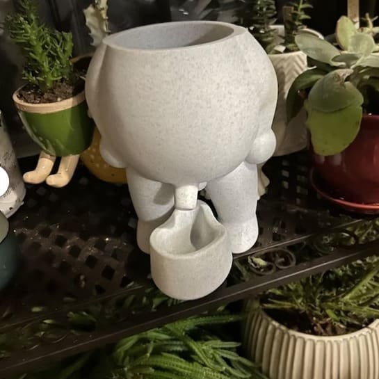 Xuyên biên giới sản phẩm mới mọng nước chậu hoa ngoài trời bền đẹp, thân thiệ nan