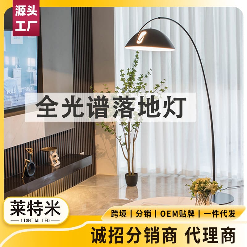 Jiaqian Chiếu Sáng Bắc Âu Internet nổi tiếng bầu không khí chiếu sáng - DDB-607