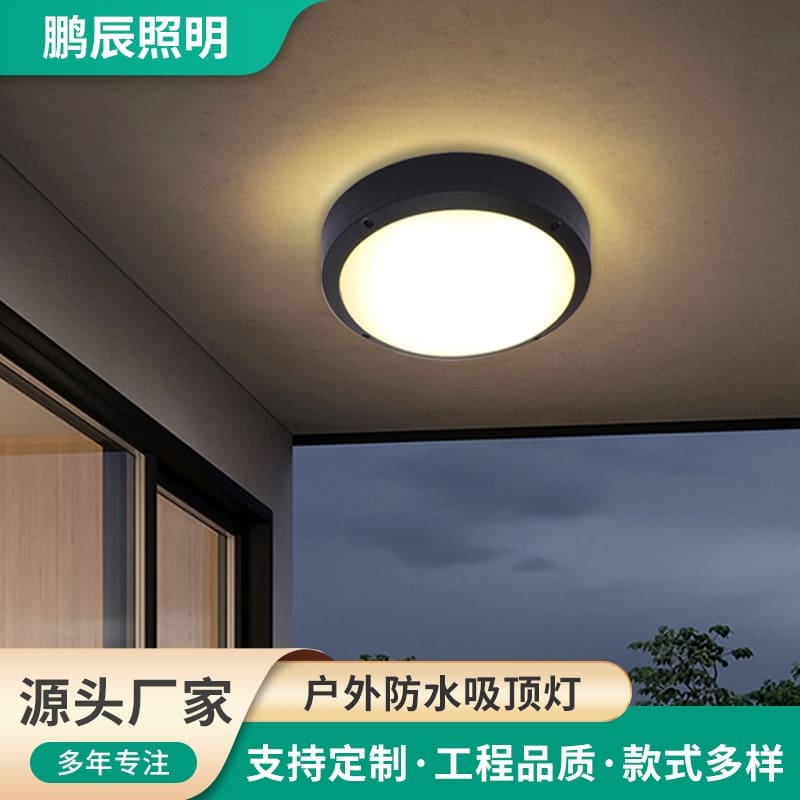 Nhà sản xuất đèn trần chống ẩm ngoài trời led đơn giản hành - DTN-713