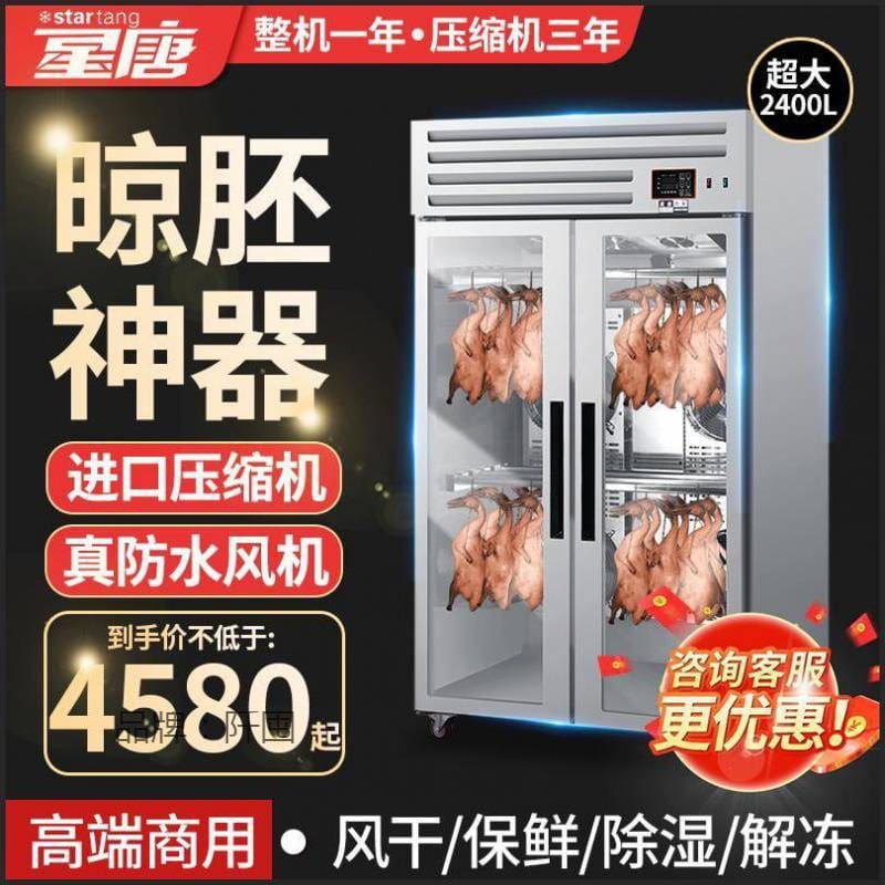 Tủ sấy không khí vịt quay tủ sấy vịt thông cao cấp, tiện lợi cho nhà hàng TST TSTP-377