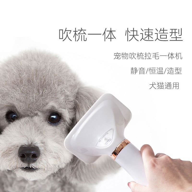 Máy sấy tóc cho thú cưng, lược chải lông cho chất lượng cho khách sạn MST-347
