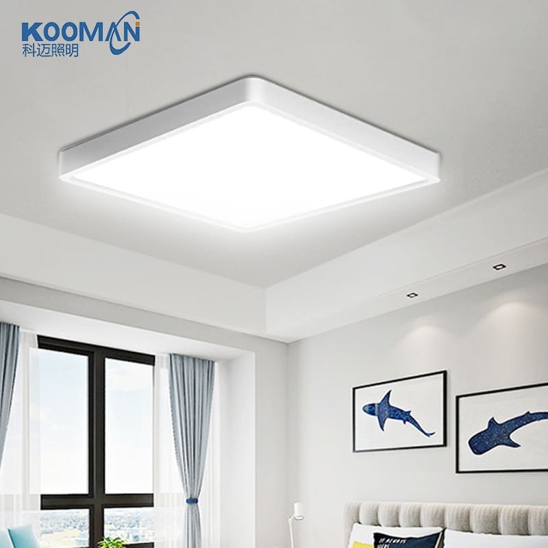 Đèn phòng khách hình chữ nhật, đèn LED ốp trần phòng ngủ - DTN-899
