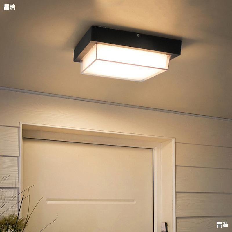 Đèn trần ngoài trời chống thấm nước và chống côn trùng sân - DTN-604