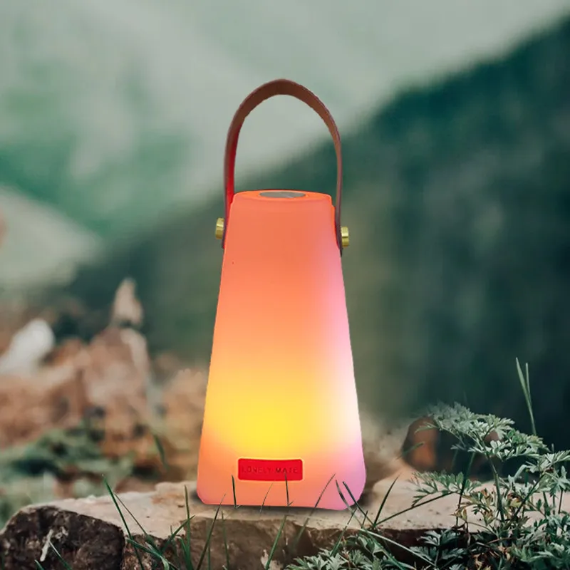 Đèn Ngoài Trời Chống Nước Chiếu Sáng Di Động RGB LED Tâm - DTN-149
