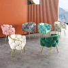 Bắc Âu Kim Loại Ghế Phòng Khách Phòng Khách Mềm Mại Bọc Ghế Tựa Lưng Hộ Gia Đình Cao Cấp Ghế Bành Cho Tiệm Làm Móng Tay