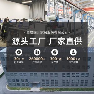 Bàn ăn hiện đại Xingwei Bàn ghế đàm phán đơn giản thông thường với Bàn tròn tại nhà Bàn nhà hàng đơn giản tại nhà - Hình 4