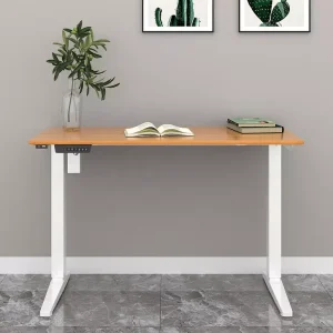 Bàn Công thái học Bàn máy tính văn phòng hiện đại Bàn đứng Bàn đứng động cơ đôi Bàn làm việc có thể điều chỉnh chiều cao bằng điện - Hình 3