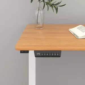 Bàn Công thái học Bàn máy tính văn phòng hiện đại Bàn đứng Bàn đứng động cơ đôi Bàn làm việc có thể điều chỉnh chiều cao bằng điện - Hình 4