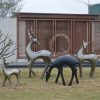Bản phác thảo cảnh quan vườn Sika Deer trừu tượng sợi thủy tinh Hươu vườn ngoài trời Elk Điêu khắc Trung tâm mua sắm Meichen trang trí