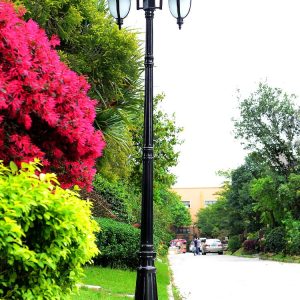 Cột Đèn màu đen 2 bóng cao 200cm - Hình 3
