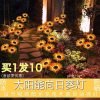 Dạ quang hướng dương năng lượng mặt trời không thấm nước sân sân vườn lễ hội hoa cưới biển trang trí bãi cỏ Đèn