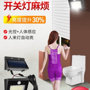 Đèn Bán buôn chia năng lượng mặt trời Đèn ngoài trời cơ thể con người cảm ứng chiếu sáng trong nhà và ngoài trời người đi bộ Đèn ra vườn vệ sinh - Hình 2