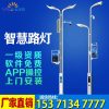 Đèn Chiếu sáng thông minh đô thị Đèn đường thông minh Đèn sạc thông minh Cực sáng IoT LED nền tảng đám mây