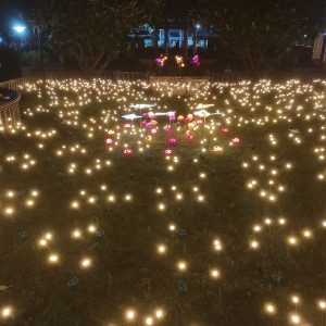 Đèn đom đóm LED năng lượng mặt trời Xuất khẩu mới ngoài trời không thấm nước cắm đất Đèn sân vườn trang trí vuông - Hình 2