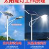 Đèn đường năng lượng mặt trời ánh sáng ngoài trời trọn bộ với cột Đèn cao 6 mét Dự án công suất cao nông thôn mới Đèn LED sân vườn siêu sáng