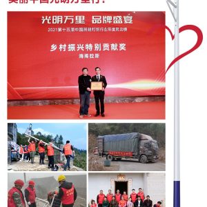 Đèn đường năng lượng mặt trời Đèn ngoài trời 6 mét nông thôn mới Đèn cực cao Đèn LED sân vườn siêu sáng trọn bộ kèm cực - Hình 4