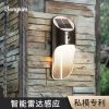 Đèn Home LED Ngoài Trời Sáng Tạo Cảm Ứng Đèn Trang Trí Sân Vườn Ngoài Trời Chống Thấm Nước Sân Vườn Năng Lượng Mặt Trời