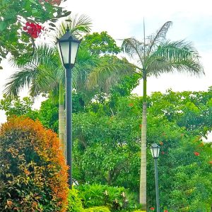 Đèn Kỹ thuật nhà máy sản xuất không theo tiêu chuẩn Đèn led Đèn sân cỏ kiểu Trung Quốc mới Đèn sân vườn ngoài trời 3,5 mét Đèn chiếu sáng cảnh quan sân trong - Hình 4