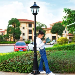 Đèn Mới Phong Cách Châu Âu Đèn Sân Vườn Ngoài Trời Chống Thấm Nước Sân Vườn Công Viên Biệt Thự Cộng Đồng Đèn Đường Ren Lục Giác Sân Vườn Bãi Cỏ Đèn - Hình 2