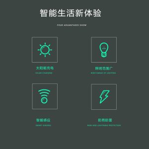 Đèn Năng lượng mặt trời chiếu sáng ngoài trời Chiếu sáng hộ gia đình Ánh sáng sân vườn Cơ thể con người Mô hình dự án cảm ứng Mô hình năng lượng mặt trời ngoài trời Road Light Bán buôn - Hình 2