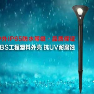 Đèn năng lượng mặt trời Đèn sân vườn ngoài trời nhà cơ thể con người cảm ứng nông thôn mới Đèn LED chiếu sáng siêu sáng tự động - Hình 4