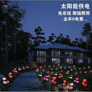 Đèn Năng Lượng Mặt Trời Hoa Hồng Đèn Trang Trí Sân Vườn Sân Vườn Cắm Cỏ Đèn Ngoài Trời Chống Thấm Nước Đỏ Và Xanh Đèn - Hình 2