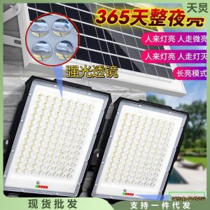 Đèn năng lượng mặt trời một kéo hai Đèn LED năng lượng mặt trời chiếu sáng sân vườn ngoài trời trong nhà hộ gia đình tự động cảm ứng cơ thể con người - Hình 2