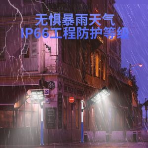 Đèn năng lượng mặt trời ngoài trời chiếu sáng nông thôn cơ thể con người cảm ứng điều khiển ánh sáng thông minh Đèn sân vườn công suất cao Đèn đường chống thấm nước - Hình 4
