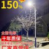 Đèn năng lượng mặt trời ngoài trời Đèn đường Đèn sân vườn nông thôn mới công suất cao siêu sáng không thấm nước Đèn chiếu sáng gia đình với cột Đèn