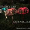 Đèn Nguồn nhà máy bán hàng trực tiếp Đèn sứa năng lượng mặt trời mới Đèn led sợi quang sân vườn ngoài trời đầy màu sắc Đèn sân cỏ năng lượng mặt trời