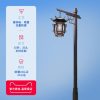 Đèn Thành phố Langlanda Điện ngoài trời Cộng đồng ngoài trời Biệt thự Đèn vườn cổ Trung Quốc Công viên Đèn lồng một đầu cổ đại Trung Quốc Cột Đèn một tay