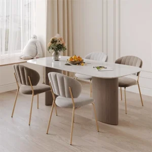 Ghế ăn bọc nệm thời trang Cafe tựa lưng Bàn Ghế ăn sự kiện Sân thượng Ghế Salle Manger Nội thất gia đình