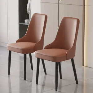 Ghế Ăn Châu Âu Cao Cấp Kim Loại Nhà Bếp Hiện Đại Phong cách châu Âu Ghế Ăn Đẹp Thoải Mái Muebles Para El Hogar Nội Thất - Hình 2