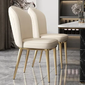 Ghế ăn Italy Ghế Ăn Cao Cấp Hiện Đại Đơn Giản gia đình Tựa Lưng Phân Thép không gỉ Khách sạn Lưới Đỏ Thiết Kế Ghế