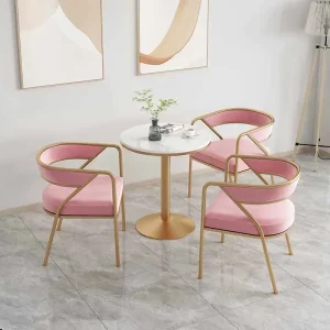 Ghế ăn Nhung Ghế Ăn Cao Cấp Cafe Phòng Ngủ Văn Phòng Salon Phong cách châu Âu Ghế Tủ Áo Công Thái Stoelen Nội Thất Phong cách châu Âu XY50DC - Hình 3