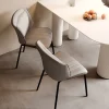 Ghế ăn Phong cách châu Âu Ghế Ăn Di Động Accent Throne Phòng Ngủ Nhà Thiết Kế Ghế Ngoài Trời Khách sạn Hiên Chaise Salle Manger Nội Thất Gia Đình CY50DC