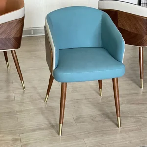 Ghế ăn Phong cách châu Âu Nhà Hàng Ghế Ăn gia đình Da Cadeira Muebles Giải Trí Sillas Para Comedor Стулья для кухни Nội Thất Gia Đình - Hình 4