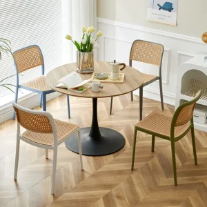 Ghế ăn Phong cách châu Âu Nội Thất Mây Dệt Tựa Lưng Nhựa Bàn Ăn Ghế Simplemodern Giải Trí Cho gia đình Sử Dụng Phòng Khách - Hình 2