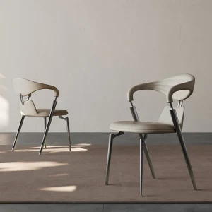 Ghế ăn Salon Di Động Ghế Ăn Phong cách châu Âu Văn Phòng Thư Giãn Khách sạn Đĩa Ghế Ăn Accent Cà Phê Tay Tân La Comedor Nội Thất Ngoài Trời - Hình 4