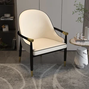 Ghế ăn Sang Trọng Công Thái Học Hiện Đại Ghế Phòng Chờ Ban Công Phong Cách Phong cách châu Âu Ghế Tình Yêu Kim Loại Bàn Trang Điểm Tân La Comedor Nội Thất Phòng Ngủ - Hình 2