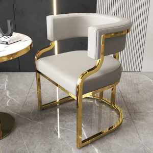 Ghế ăn Thiết Kế Sang Trọng Ghế Ăn Vanity Công Thái Học Nhà Bếp Ngoài Trời Accent Phòng Khách Ghế Ăn Ghế Bành Nội Thất Muebles - Hình 2